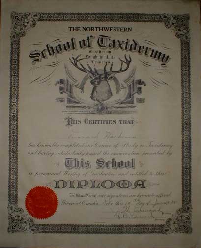 TAXIDERMY CERTIFICATE[1].jpg